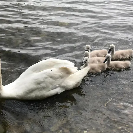 Dom Aga Hébergement de vacances Lębork